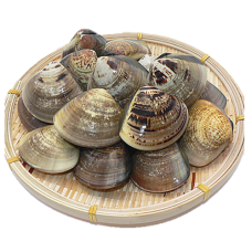 HARD CLAM FULL SHELL 21/25 PCS/PKT (LALA BIG SIZE) 硬壳蛤