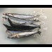 PACIFIC SAURY (SANMA) 秋刀鱼 （原只）