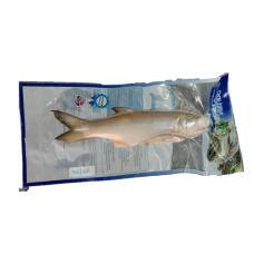 THREADFIN FOURFINGER WHOLE CLEAN (SENANGIN) 400/600GM 马友鱼（清干净）