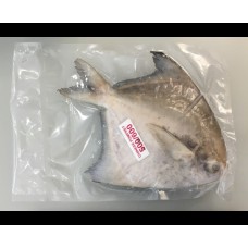 POMFRET CHINESE 500/600 斗底鲳（原只）